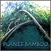 Planet Bamboo