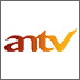 anTV