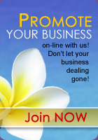 Promote Your Business On-line