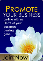 Promote Your Business On-line